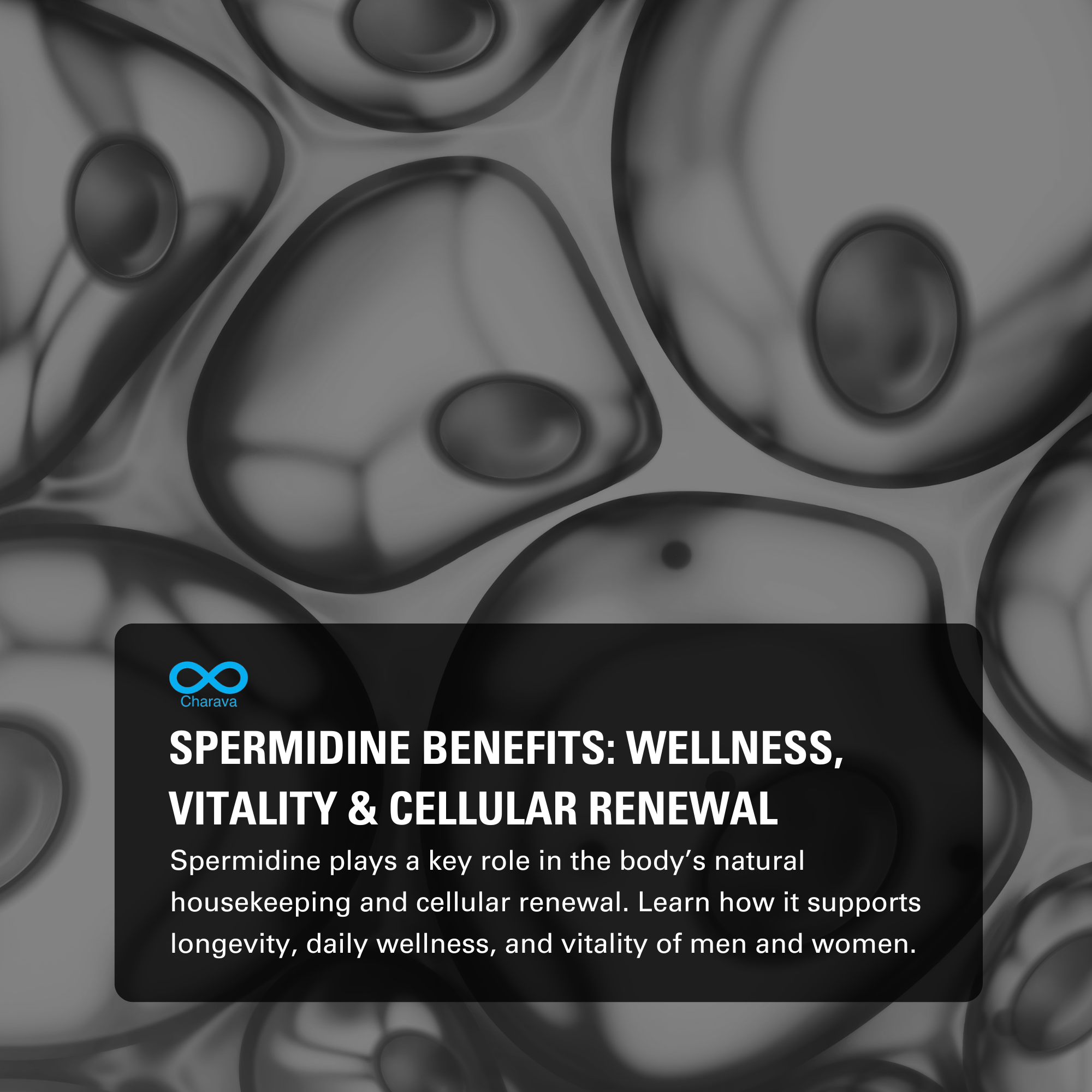 Benefits of Spermidine: Cellular Renewal & Healthy Ageing in the UK - Charava UK