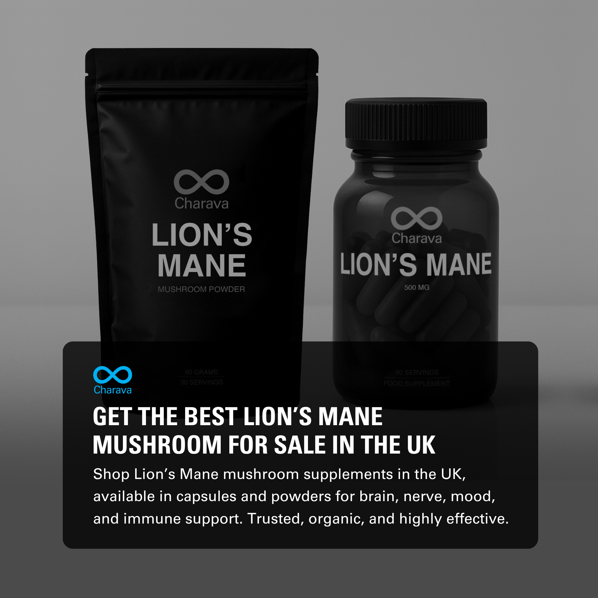 Best Lion’s Mane Mushroom for Sale: A Complete Guide for UK Buyers - Charava UK