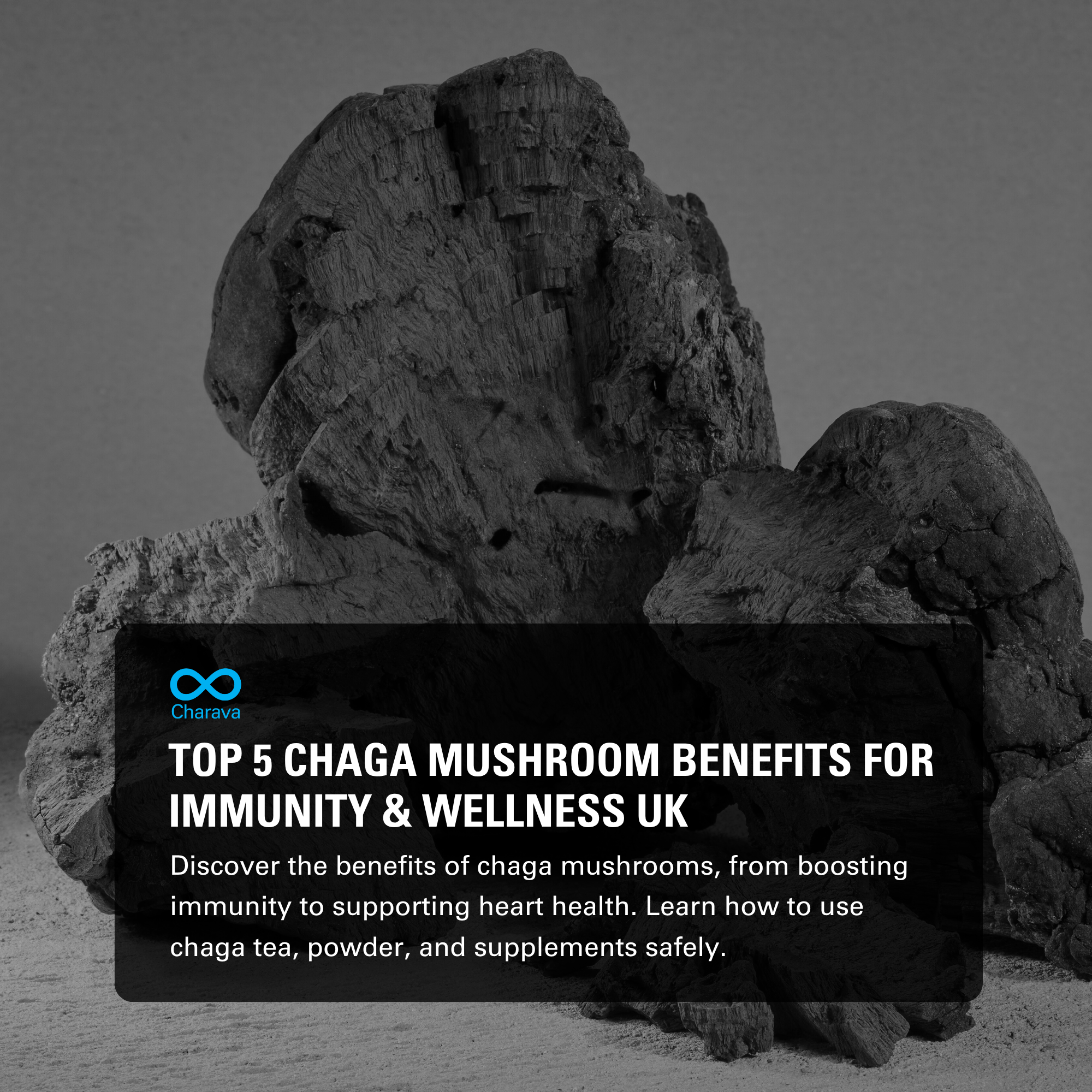 Chaga Mushroom Benefits: Health, Immunity, and Natural Uses - Charava UK