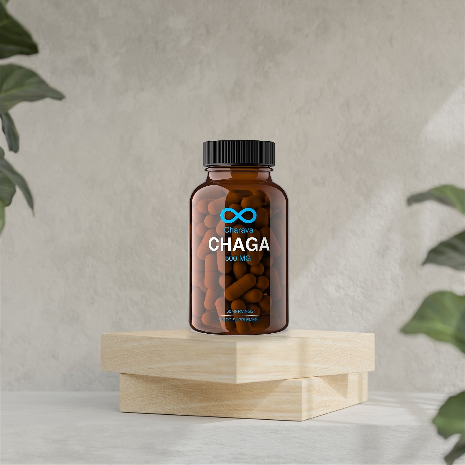 Chaga Mushroom Benefits: Health, Immunity, and Natural Uses - Charava UK