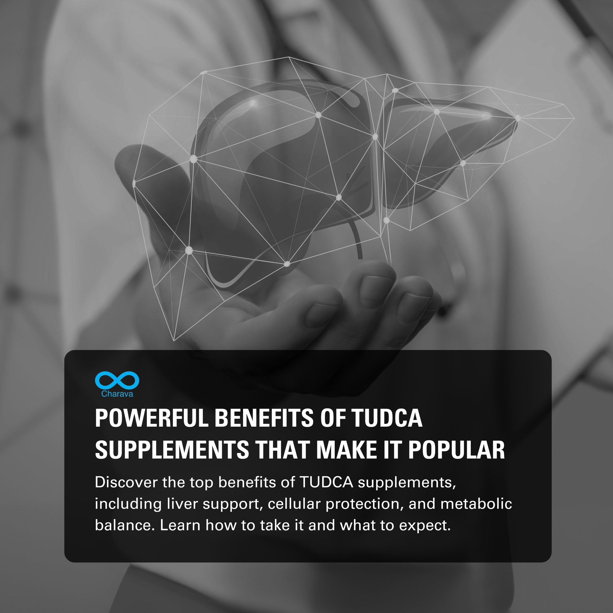 Powerful Benefits of TUDCA Supplement That Make It Popular - Charava UK