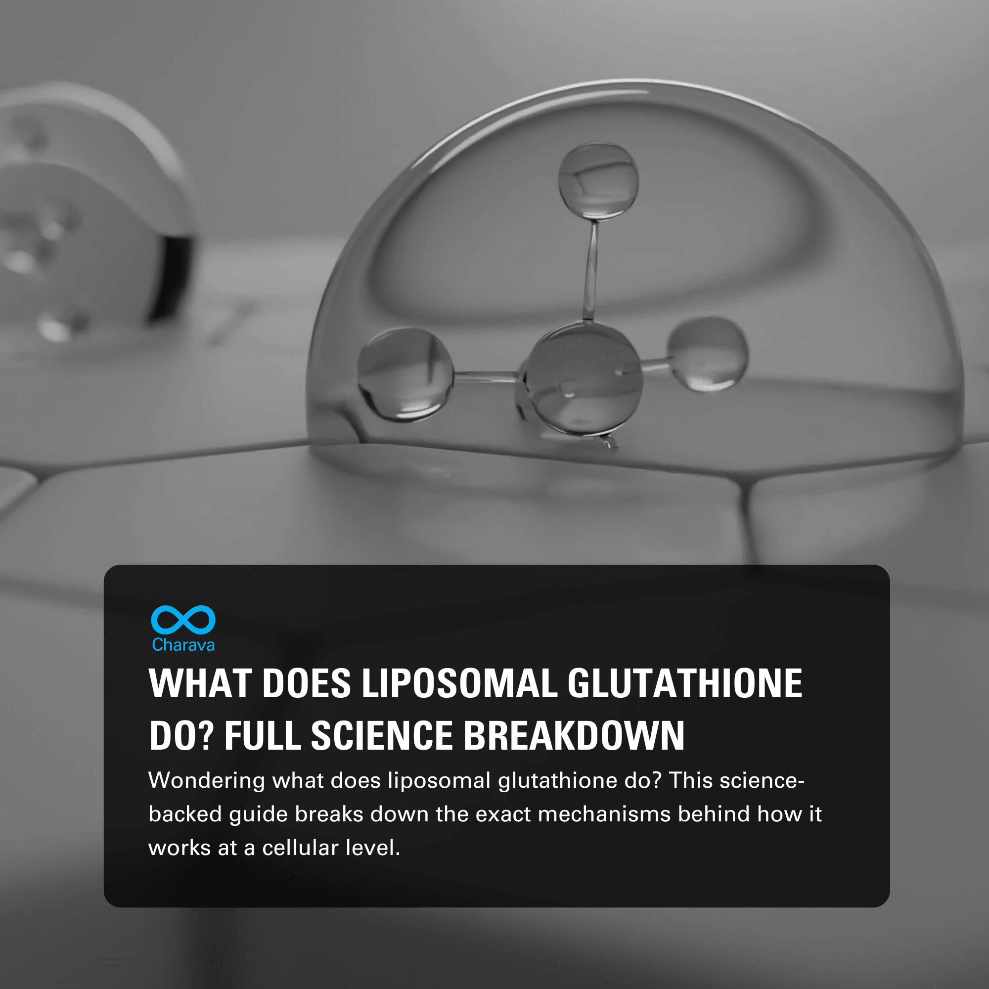 What Does Liposomal Glutathione Do? A Science-Backed Look - Charava UK