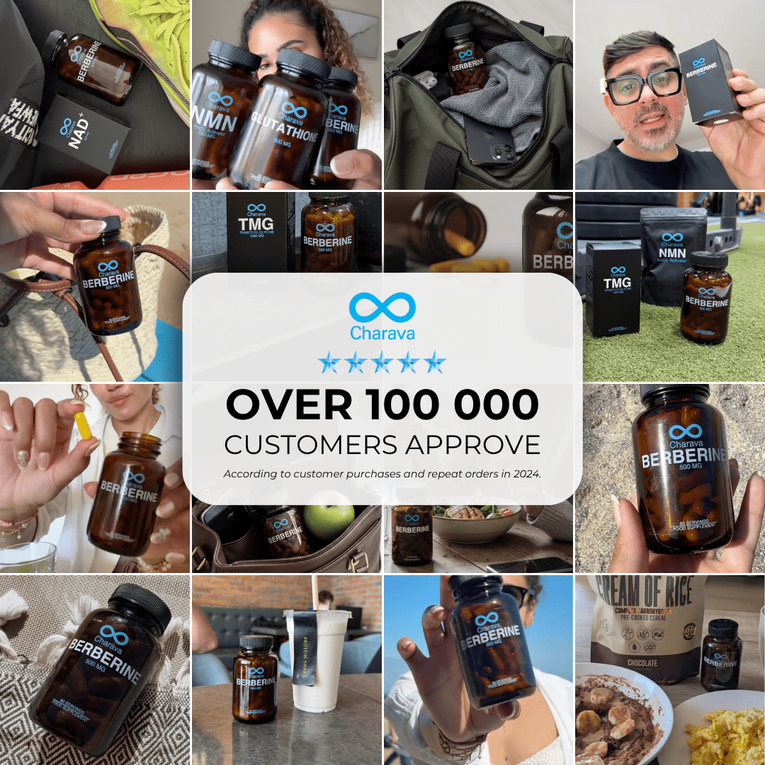 Berberine 500mg - Charava UK