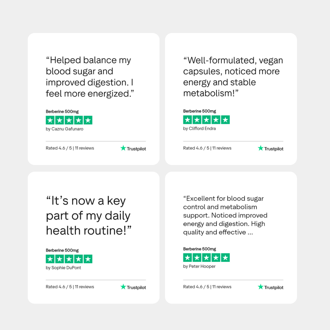 Berberine 500mg - Charava UK