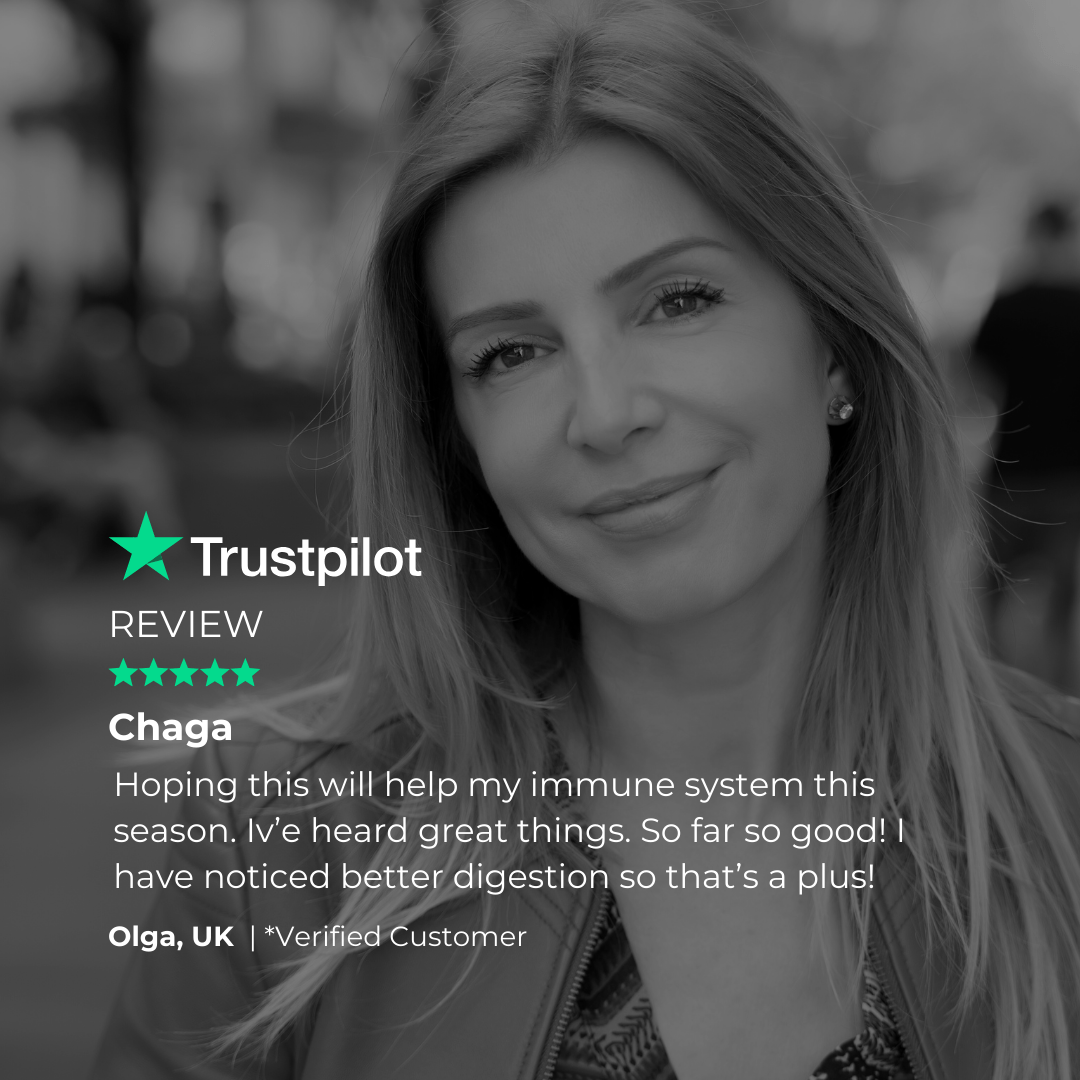 Chaga 500mg - Charava UK