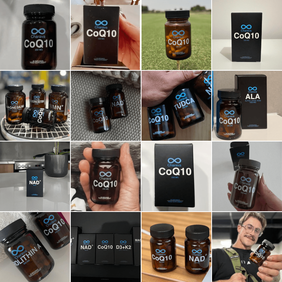 CoQ10 - Ubiquinone Coenzyme Q10 250mg - Charava UK