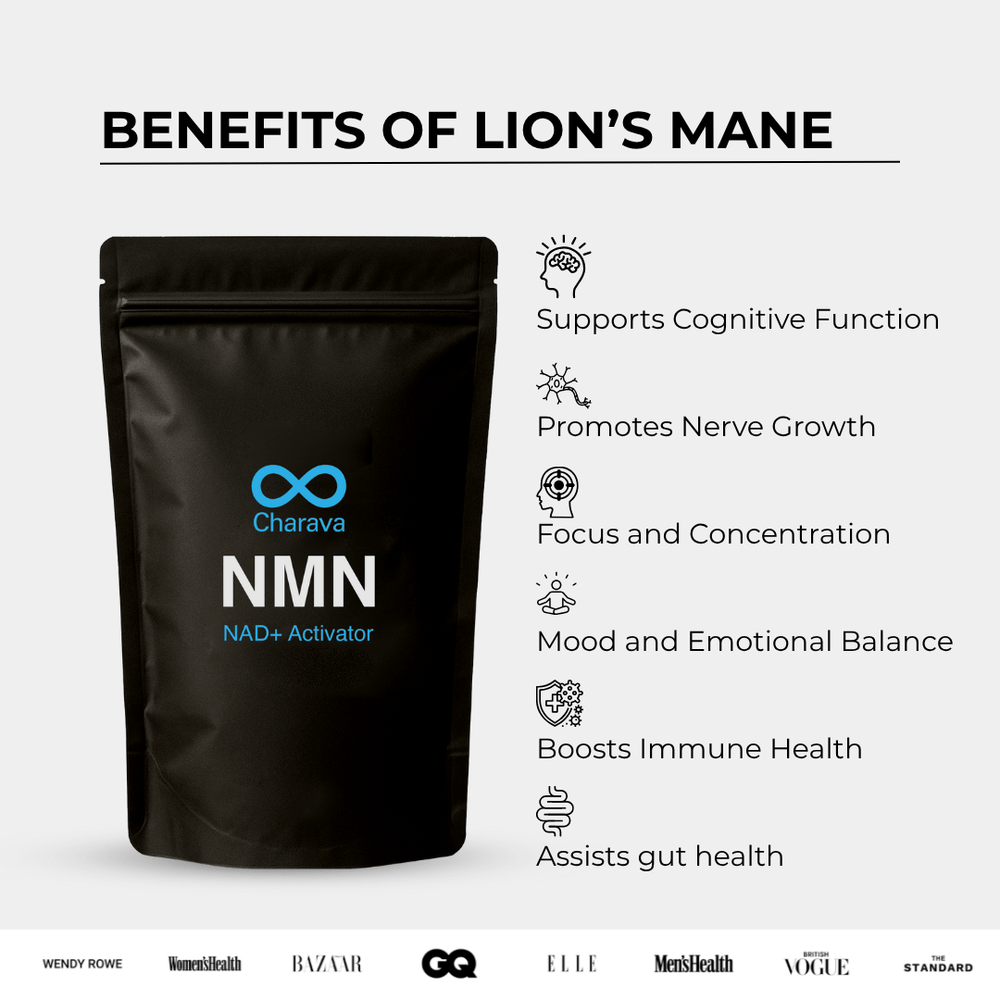 /supplement/lion%E2%80%99s-mane-powder