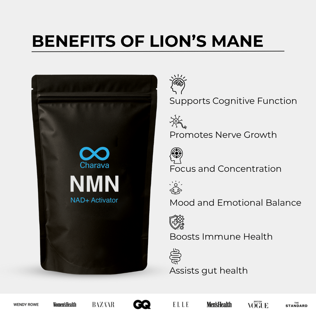 Lion's Mane Powder - 60 Grams - 30 Servings - Charava UK