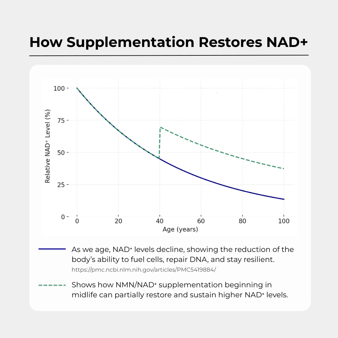 NAD+ 500mg - Charava UK