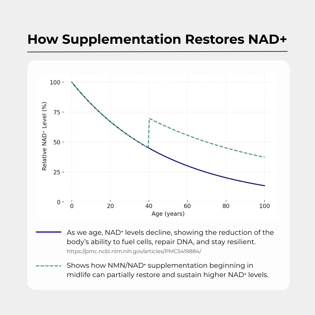 NAD+ - Liposomal (500mg) - Charava UK