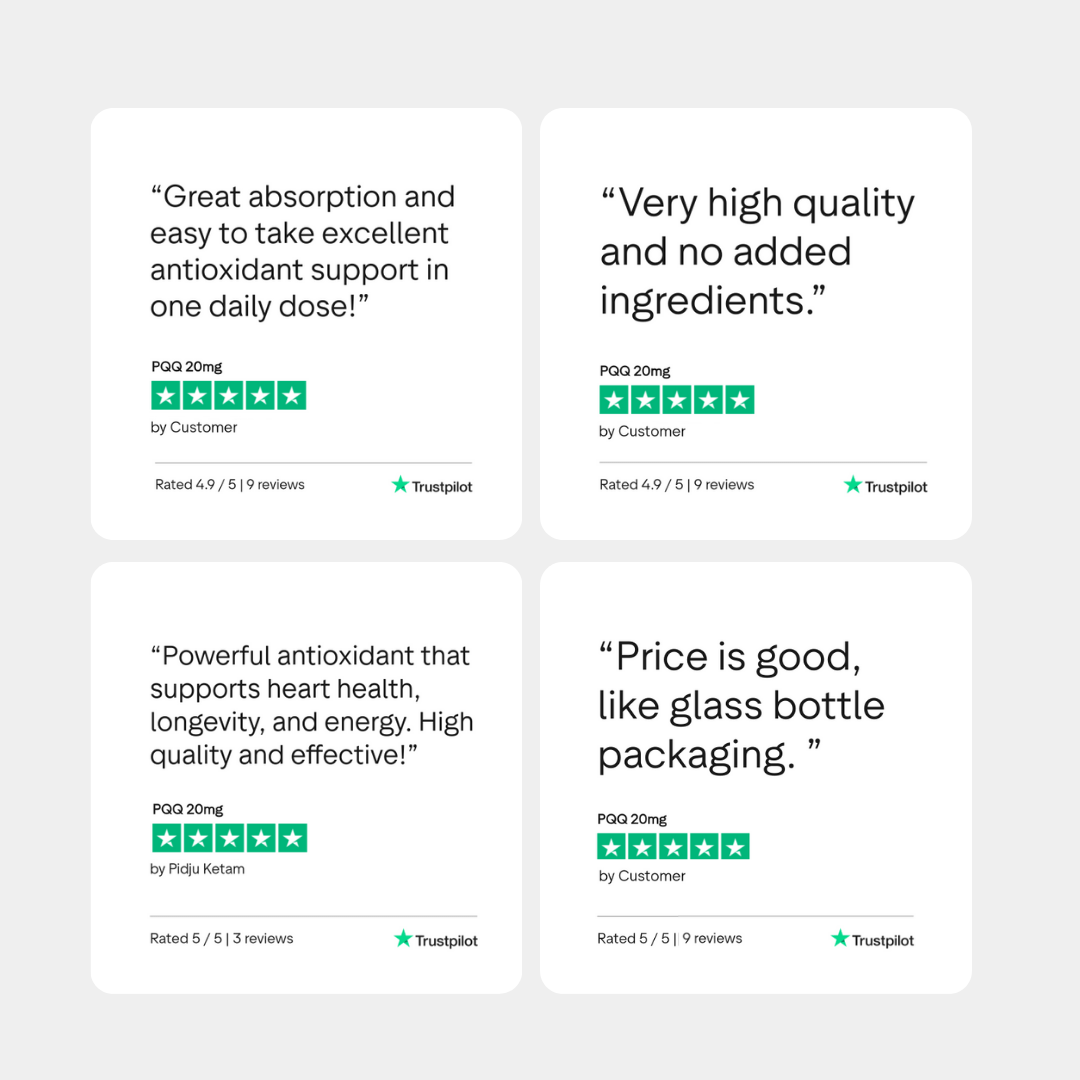 PQQ 20mg - Charava UK