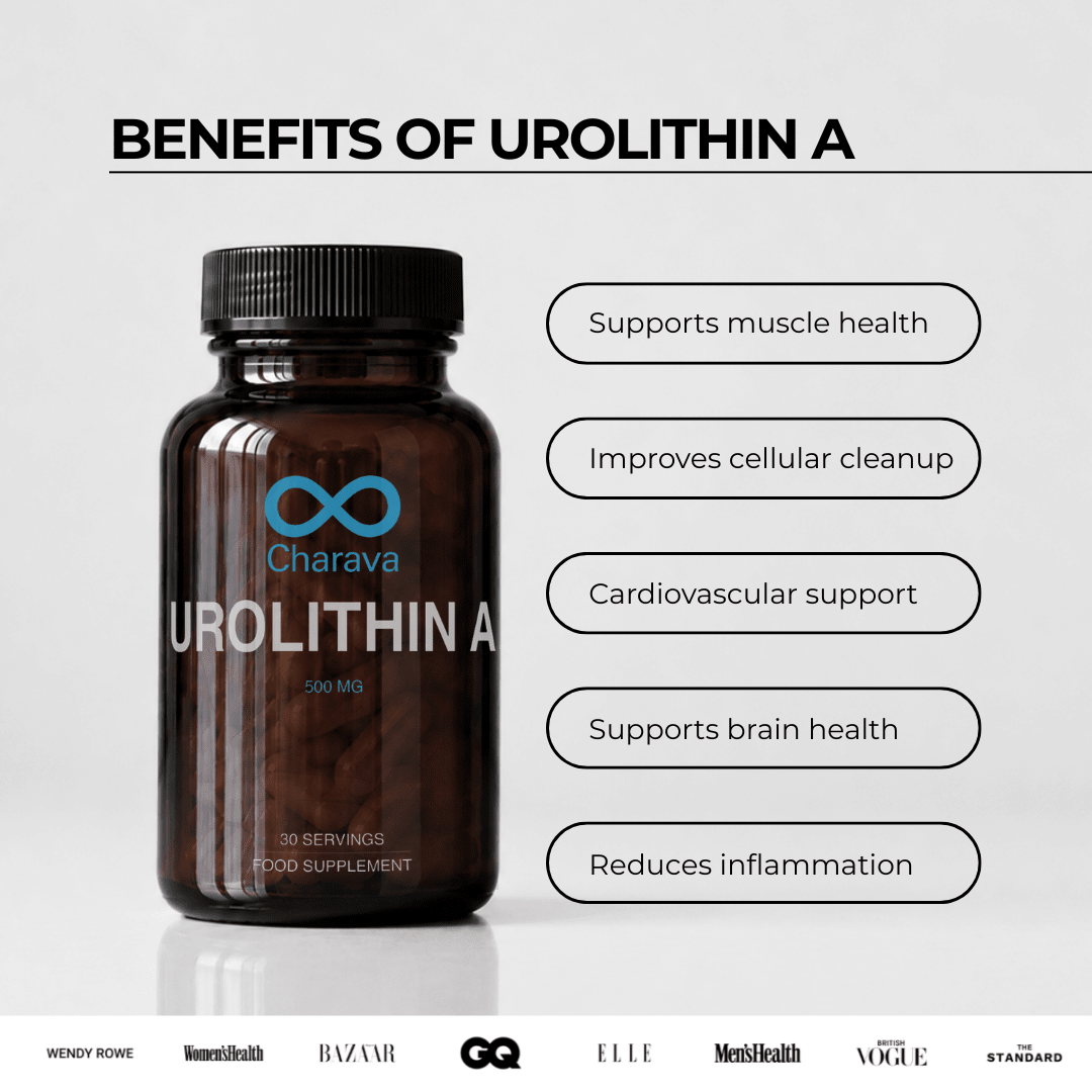 Urolithin A 500mg - Charava UK